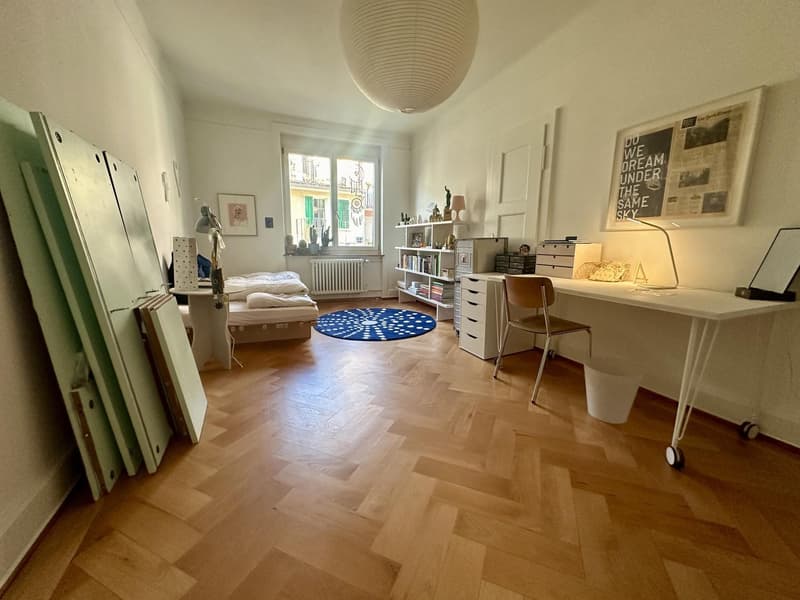 Female Flatmate Wanted Bright Room in a Charming Period Apartment (3)