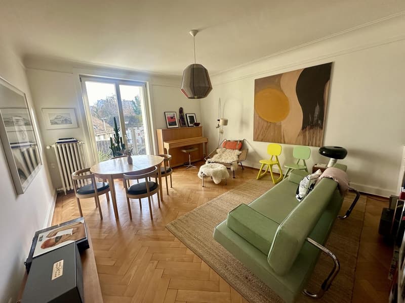 Female Flatmate Wanted Bright Room in a Charming Period Apartment (4)