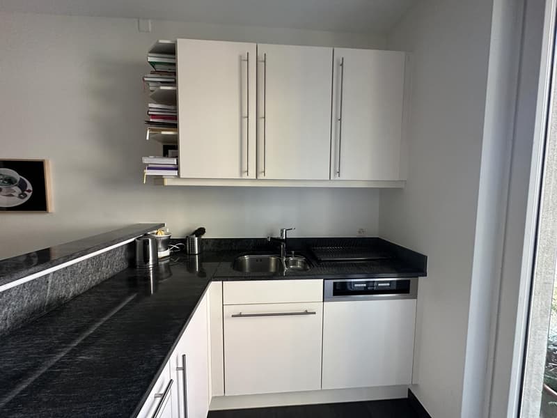 Female Flatmate Wanted Bright Room in a Charming Period Apartment (6)