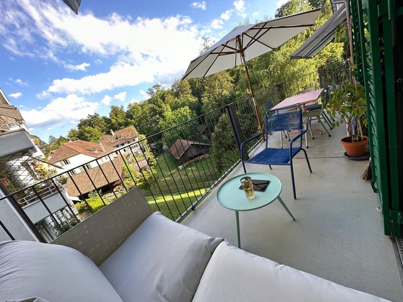 Female Flatmate Wanted Bright Room in a Charming Period Apartment (5)
