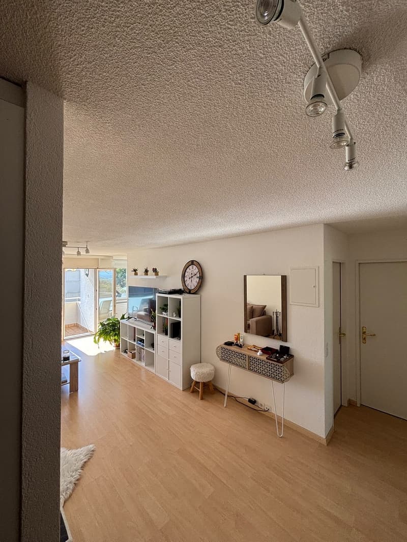 3.5 WG zimmer in Horgen mit Seesicht (6)