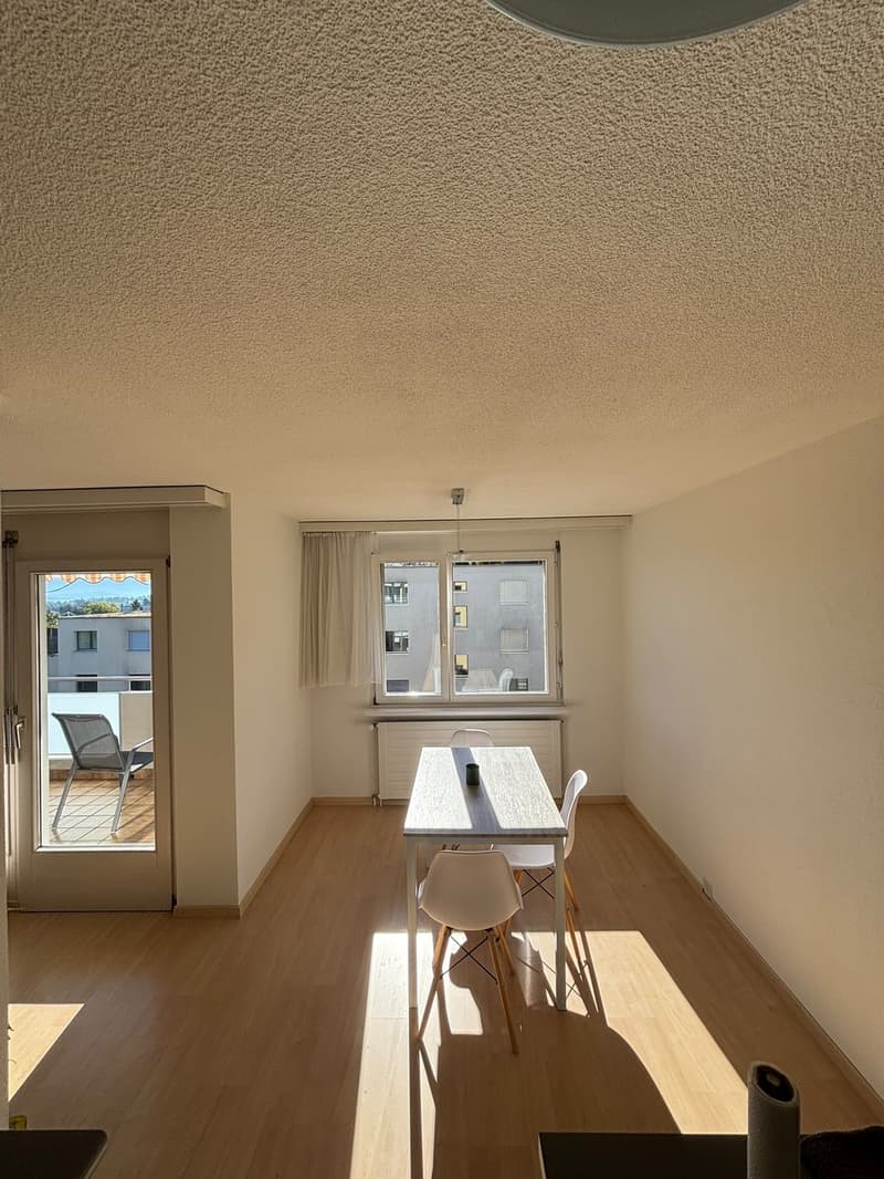 3.5 WG zimmer in Horgen mit Seesicht (8)