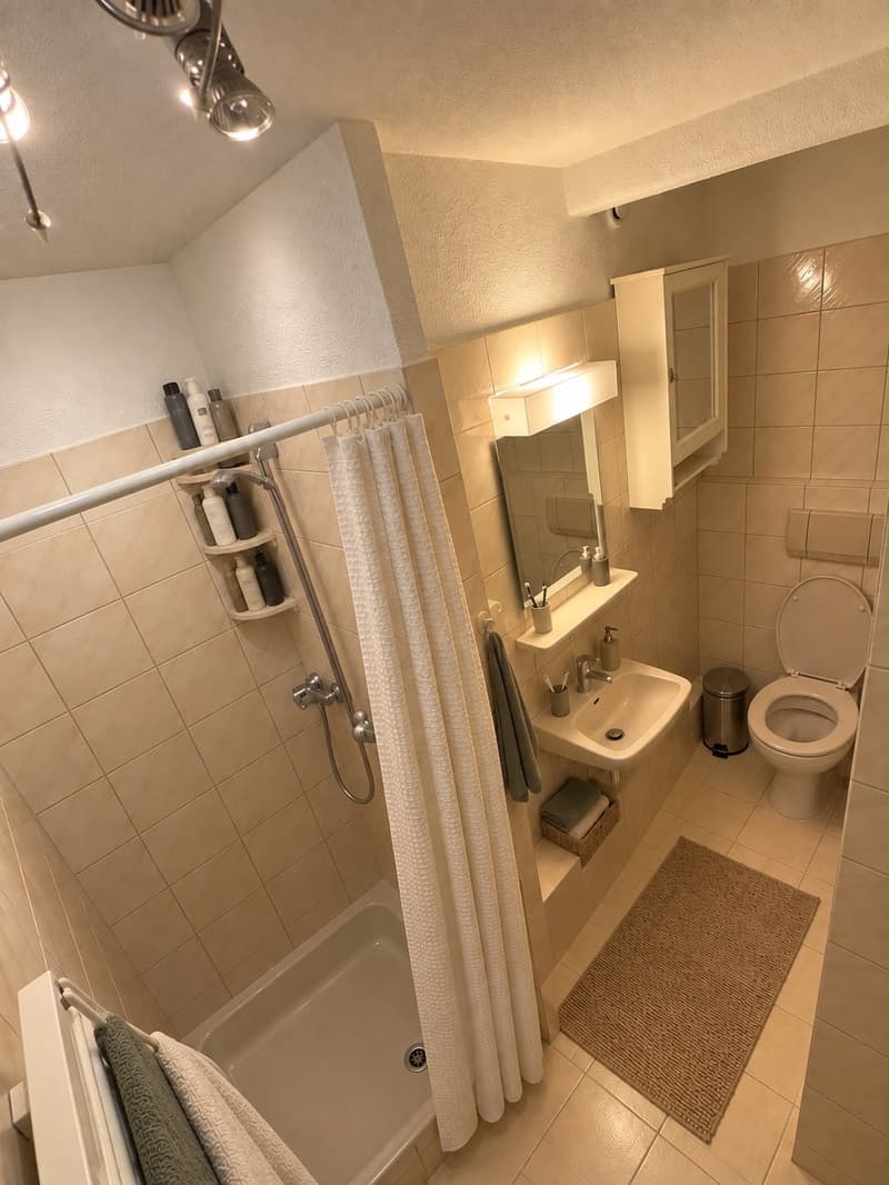 3.5 WG zimmer in Horgen mit Seesicht (3)