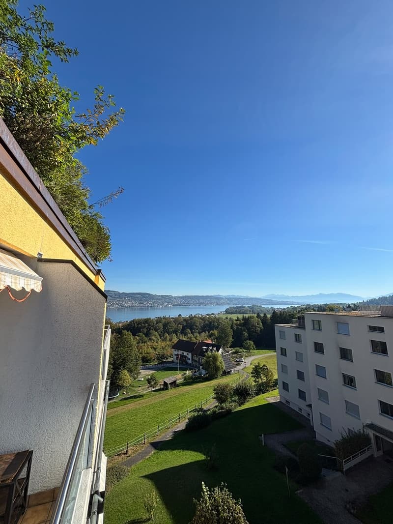 3.5 WG zimmer in Horgen mit Seesicht (5)