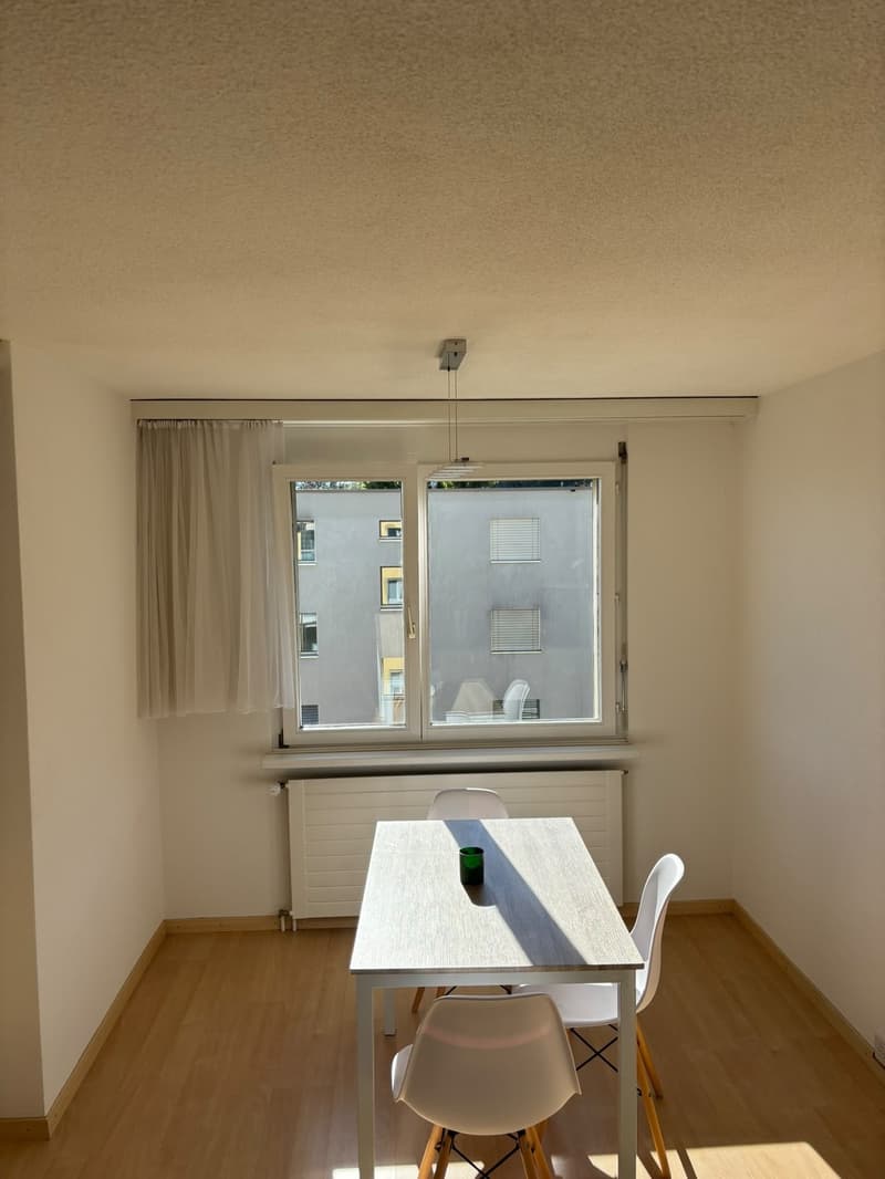 3.5 WG zimmer in Horgen mit Seesicht (2)