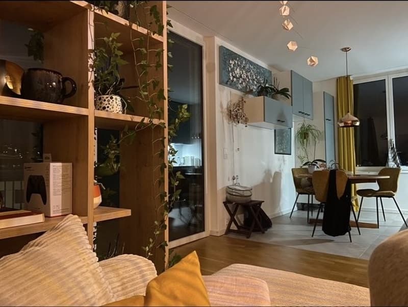 Appartement 2 ½ pièces, 1030 Bussigny (4)