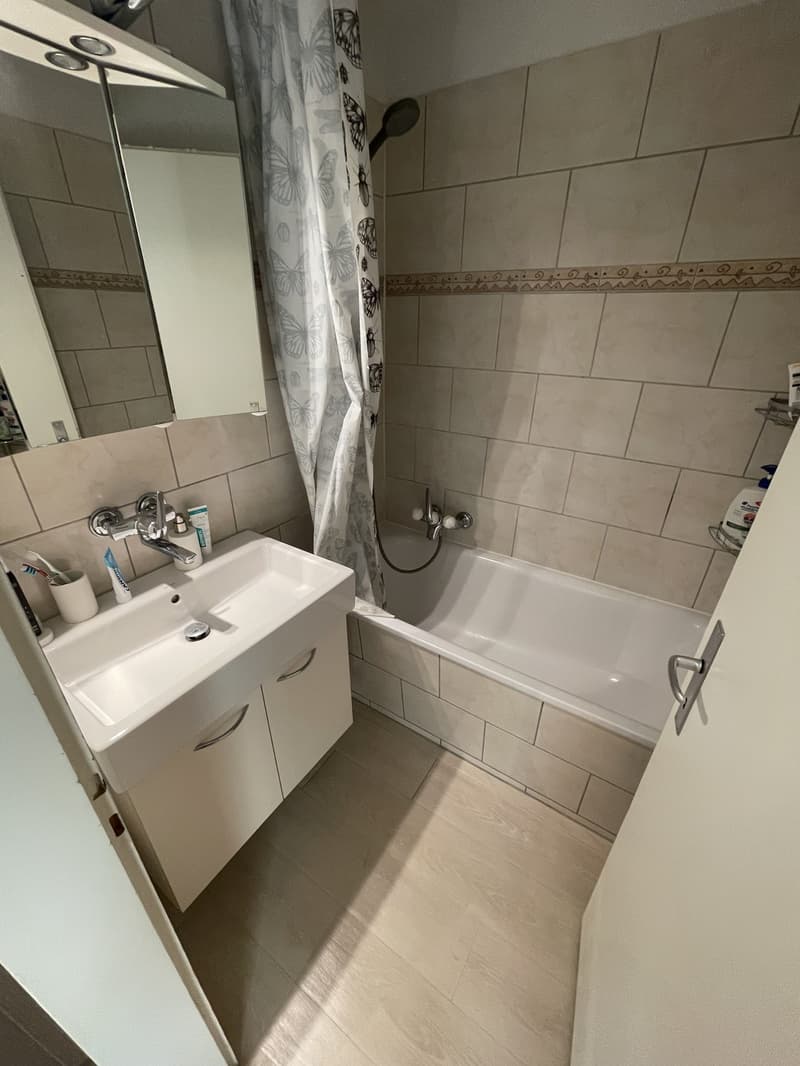 2 WG Zimmer zu vermieten das ist das Inserat des Zimmer ohne eigenen Balkon (5)