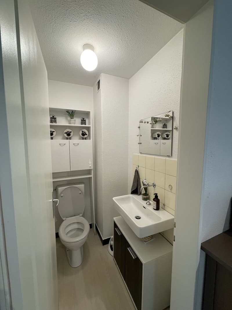 2 WG Zimmer zu vermieten das ist das Inserat des Zimmer ohne eigenen Balkon (6)