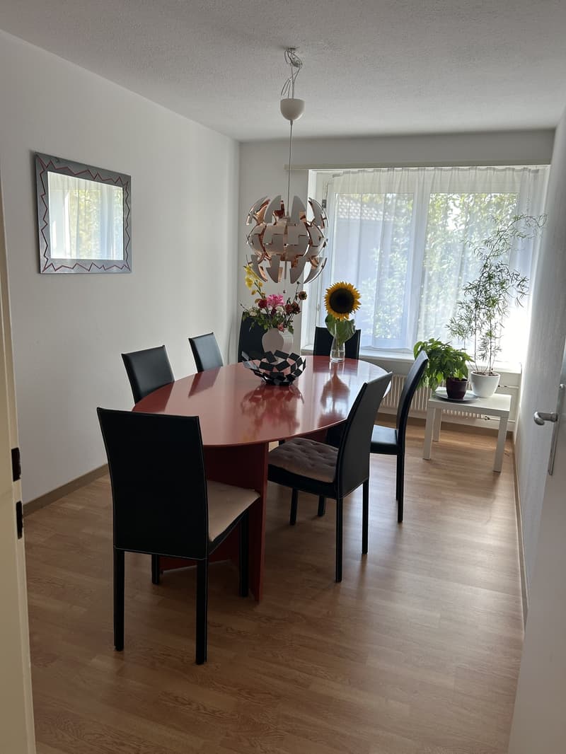 Sehr grosszügige und helle Wohnung in Buchs - Befristet bis 31.03.2028 (9)