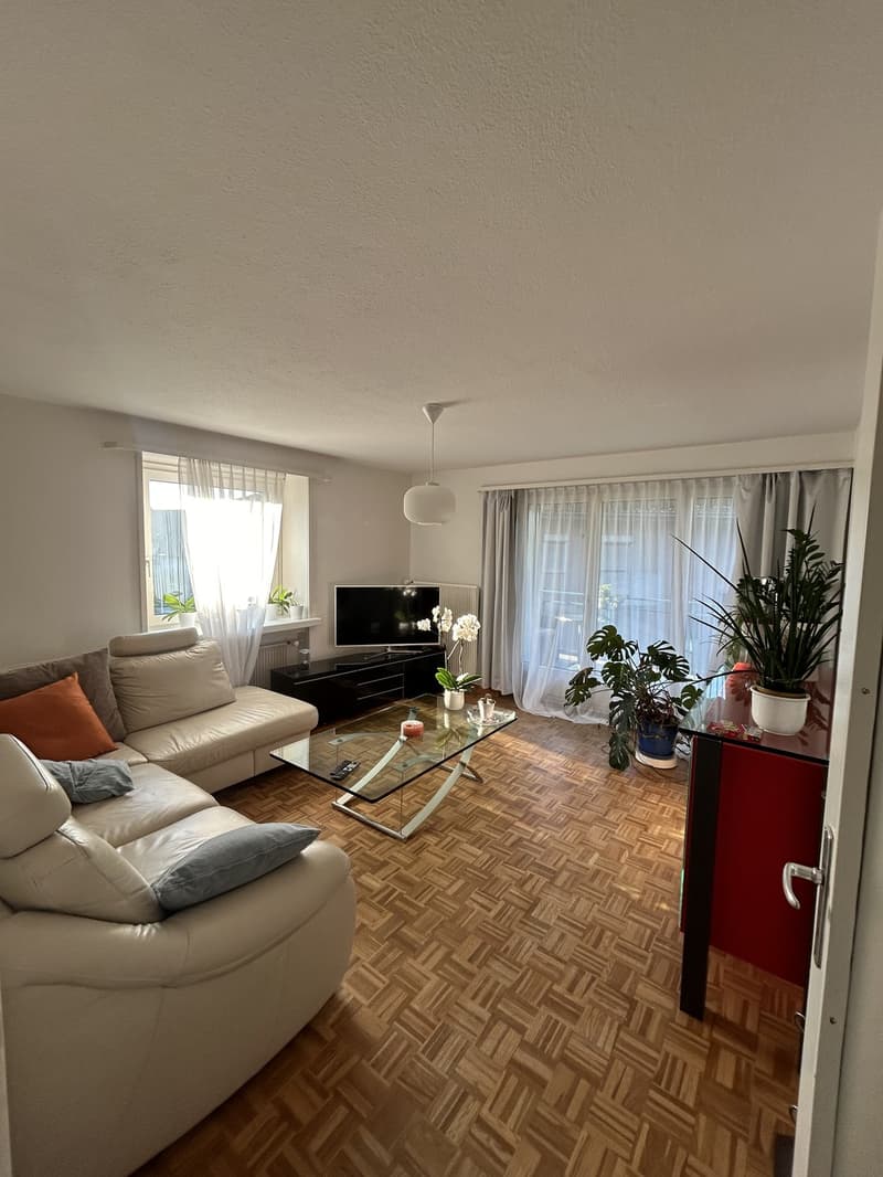 Sehr grosszügige und helle Wohnung in Buchs - Befristet bis 31.03.2028 (1)
