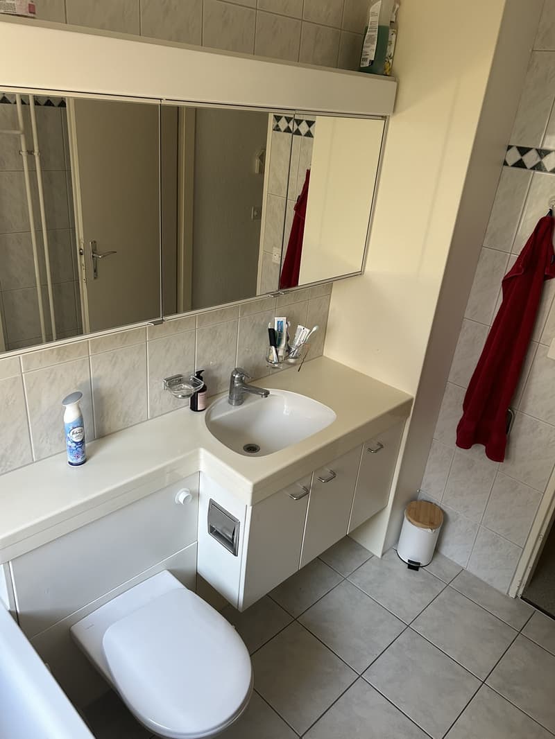 Sehr grosszügige und helle Wohnung in Buchs - Befristet bis 31.03.2028 (4)