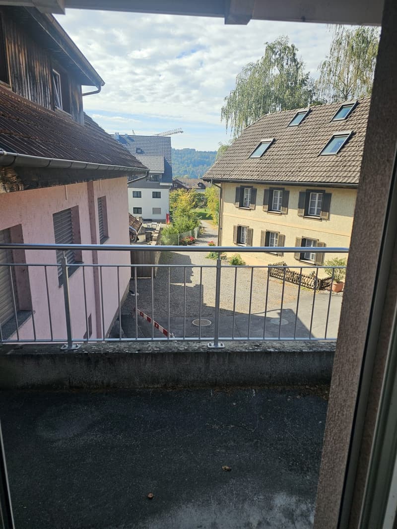 Moderne und gemütliche 2.5-Zimmer-Wohnung mit Balkon in Aesch LU (4)