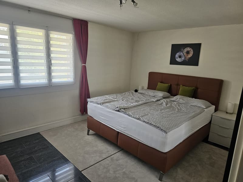 Moderne und gemütliche 2.5-Zimmer-Wohnung mit Balkon in Aesch LU (7)