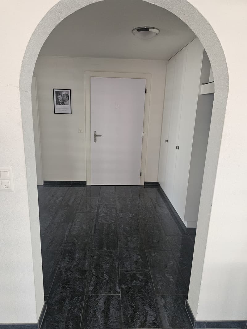 Moderne und gemütliche 2.5-Zimmer-Wohnung mit Balkon in Aesch LU (2)