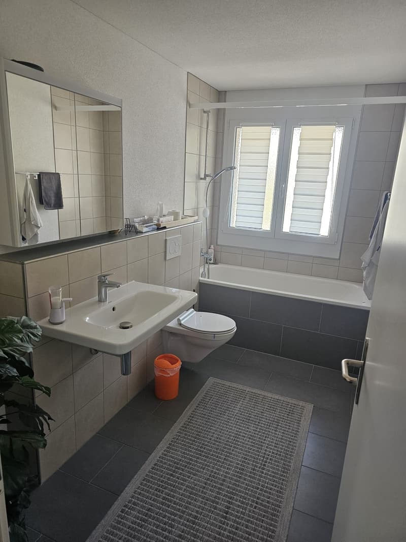 Moderne und gemütliche 2.5-Zimmer-Wohnung mit Balkon in Aesch LU (8)