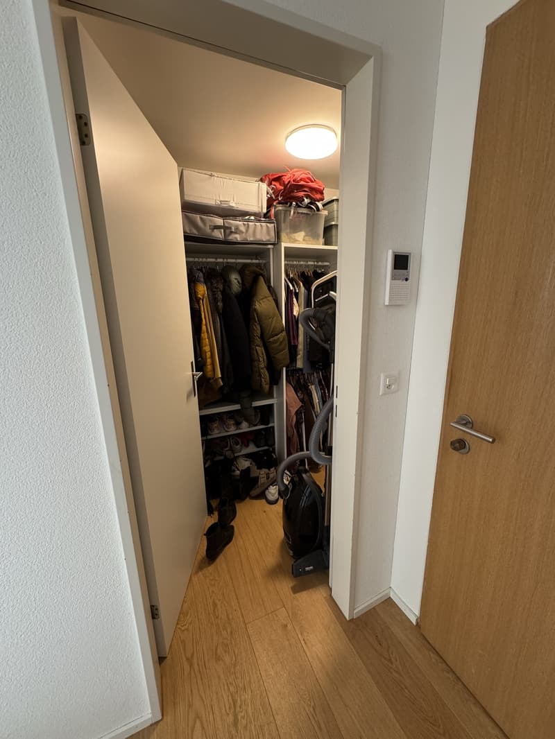 Witikon 2 1/5 apartment (4)