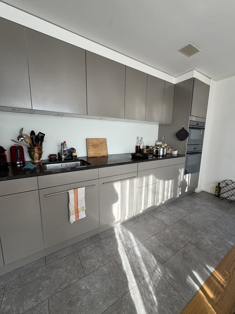 Witikon 2 1/5 apartment (2)