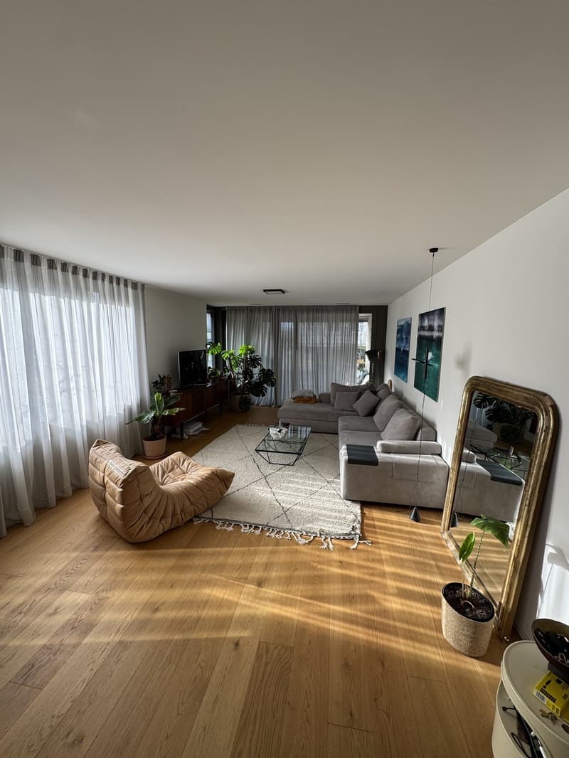 Witikon 2 1/5 apartment (3)