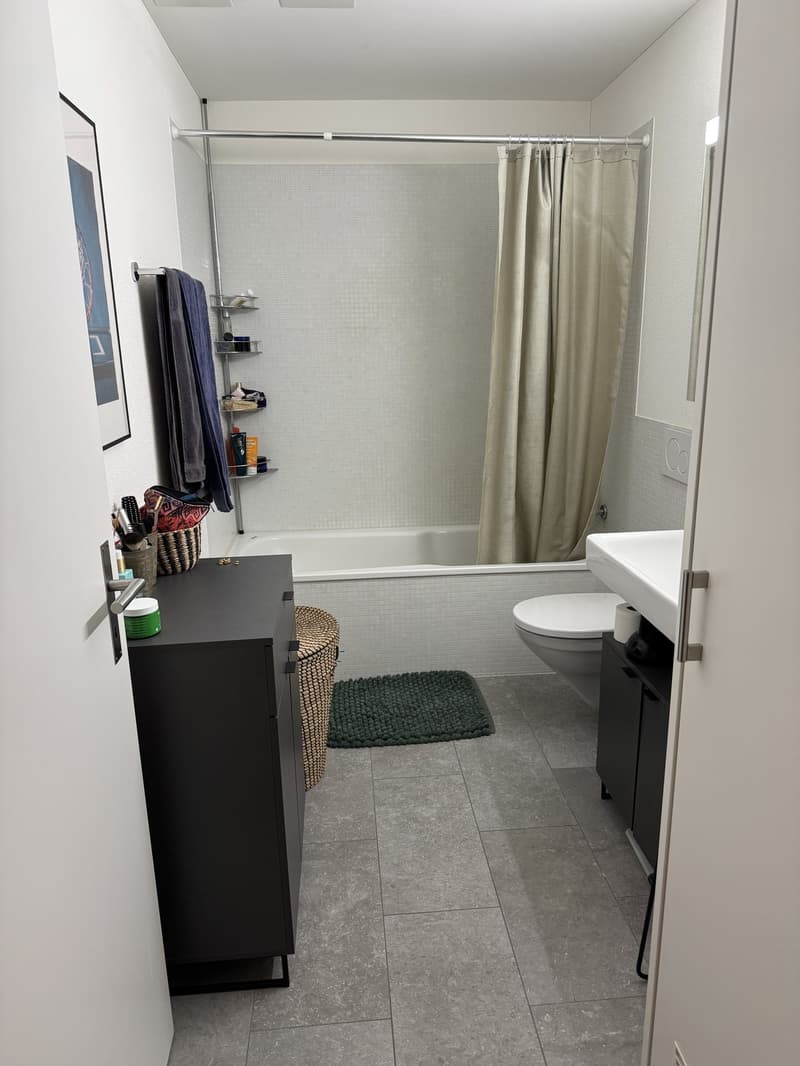 Witikon 2 1/5 apartment (5)