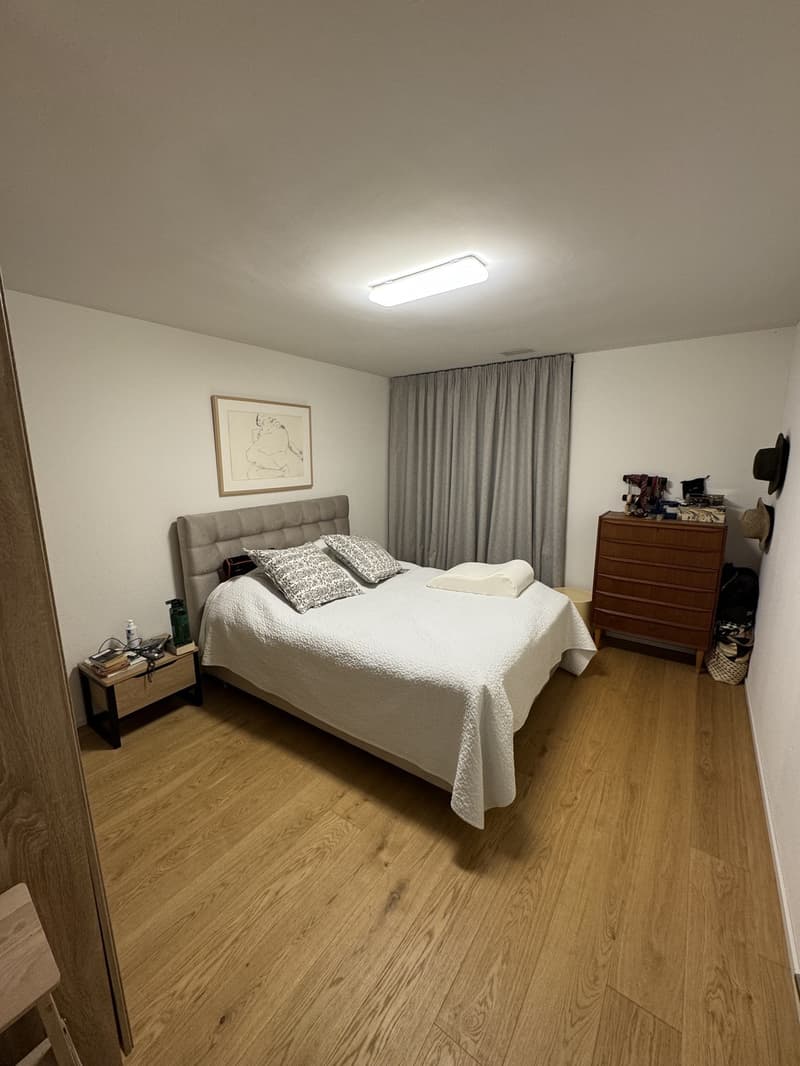 Witikon 2 1/5 apartment (6)