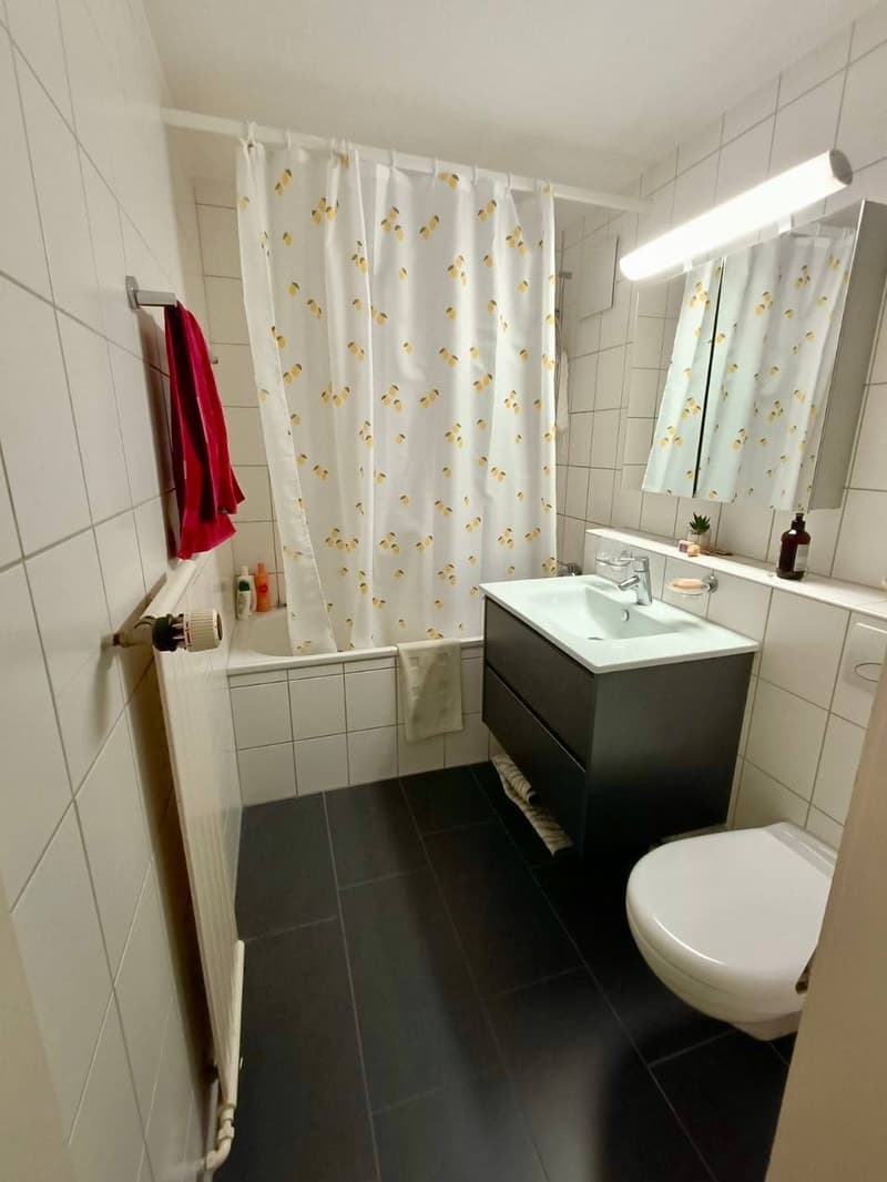 3 ½ Zimmer-Wohnung, 3600 Thun (8)