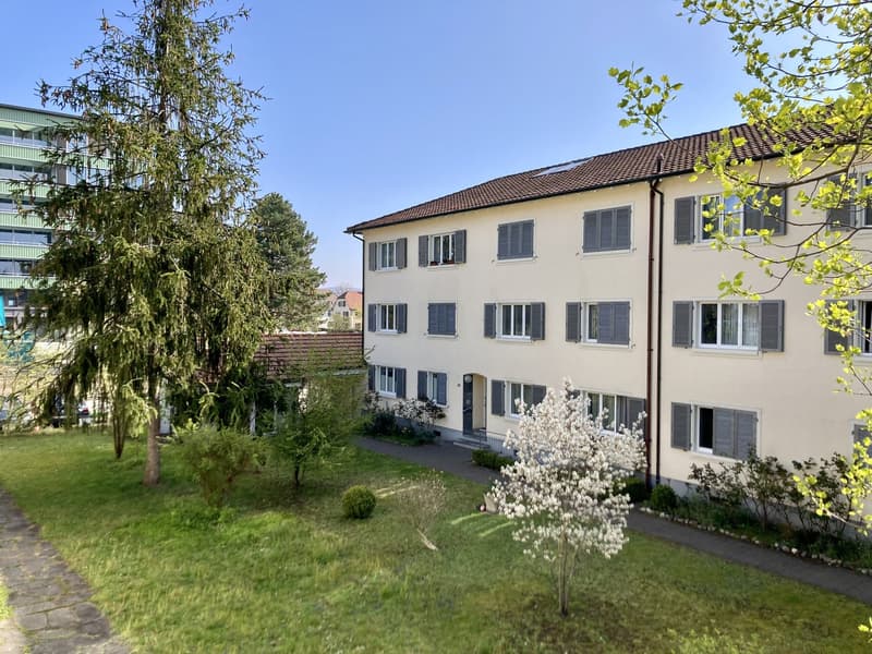 helle 3-Zimmer-Wohnung in Münchenstein (2)