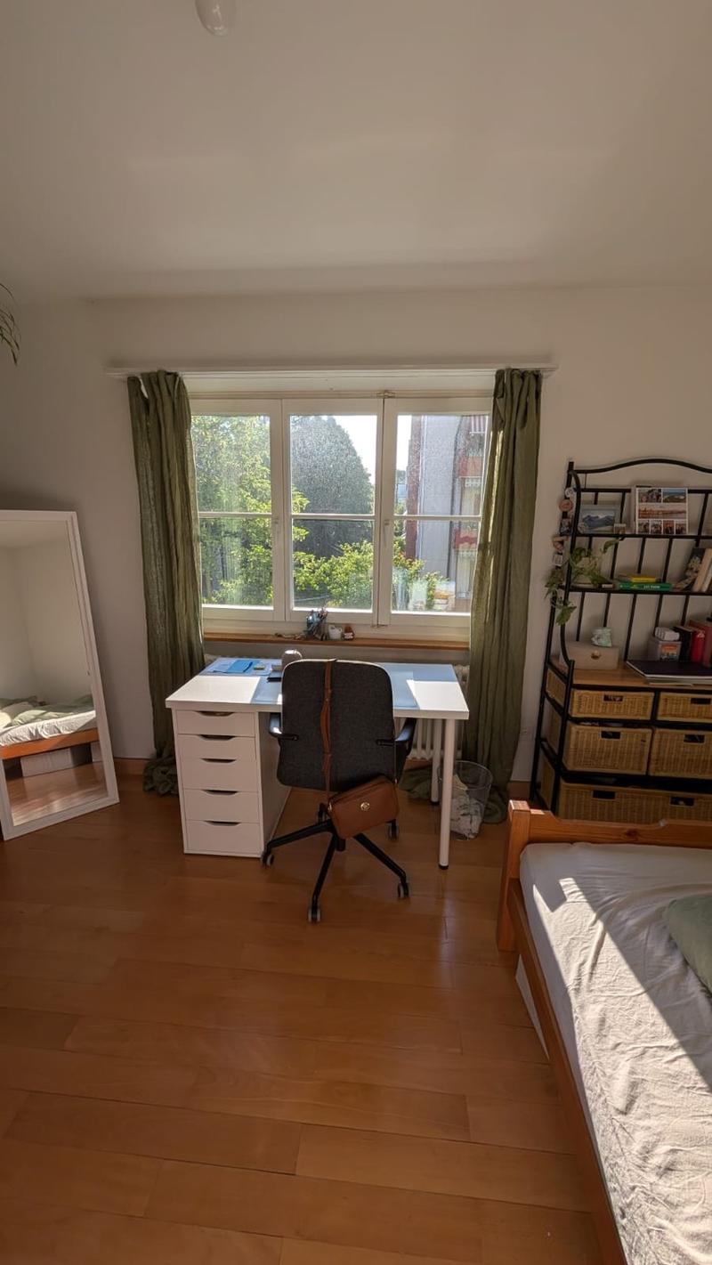 helle 3-Zimmer-Wohnung in Münchenstein (3)