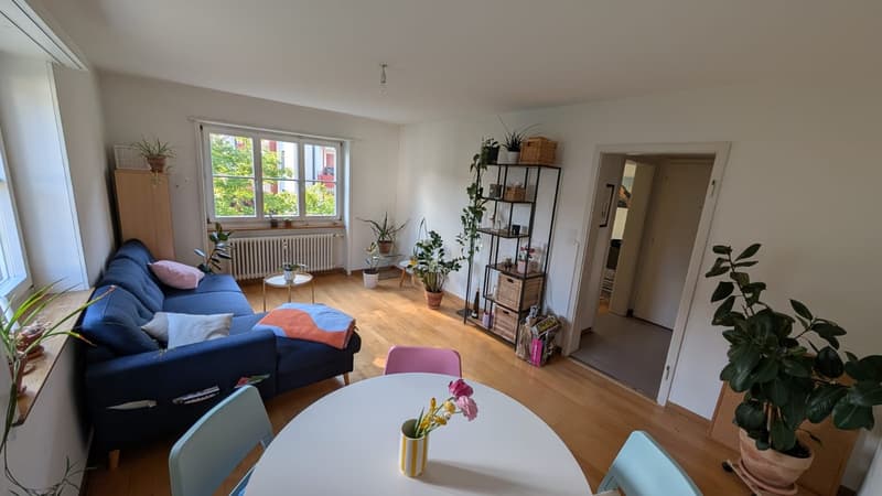 helle 3-Zimmer-Wohnung in Münchenstein (4)