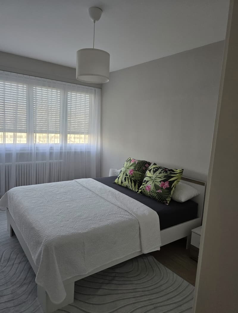 Appartement | Proche CERN (4)