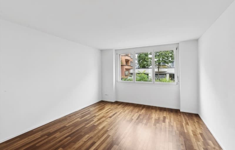 3.5 Zi-Wohnung direkt am Schaffhauserplatz (5)