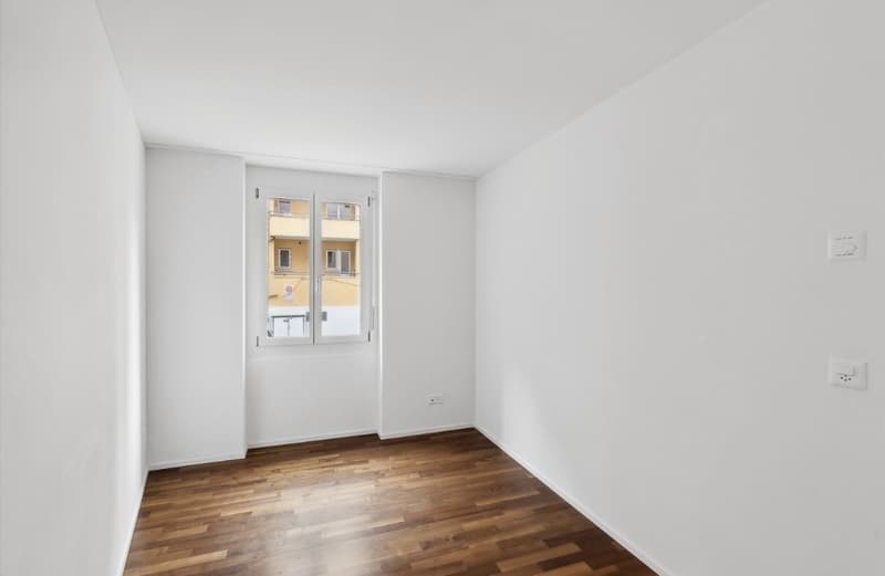 3.5 Zi-Wohnung direkt am Schaffhauserplatz (9)