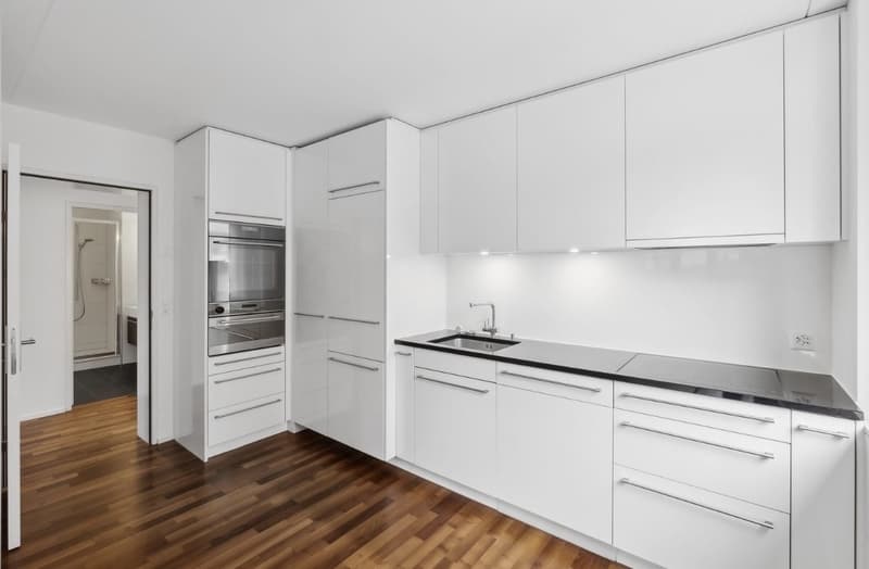 3.5 Zi-Wohnung direkt am Schaffhauserplatz (4)