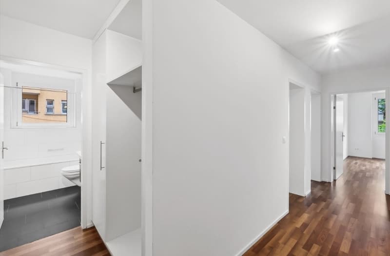 3.5 Zi-Wohnung direkt am Schaffhauserplatz (8)