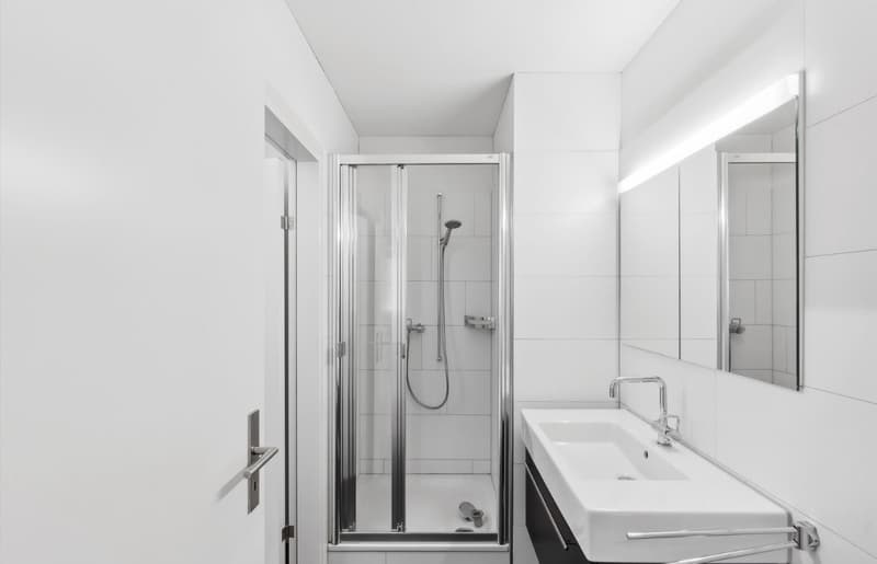 3.5 Zi-Wohnung direkt am Schaffhauserplatz (7)