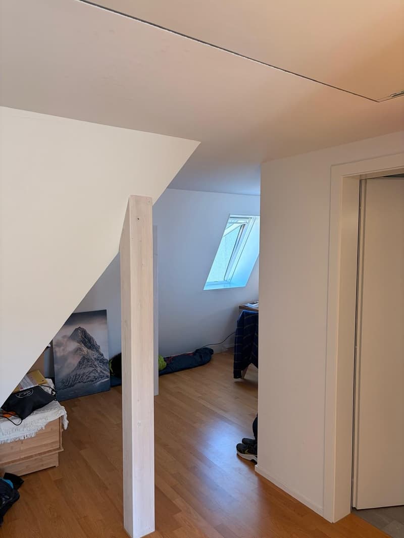 Befristete Maisonette-Wohnung nähe Idaplatz, Wiedikon (9)
