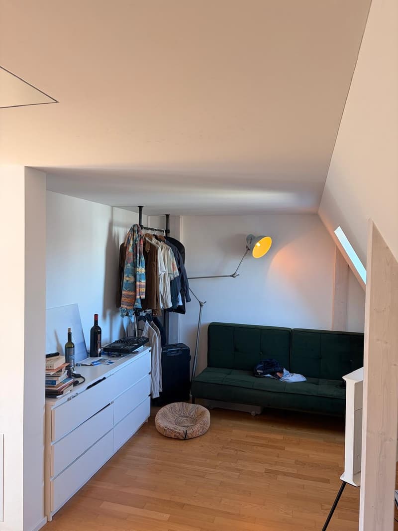 Befristete Maisonette-Wohnung nähe Idaplatz, Wiedikon (10)