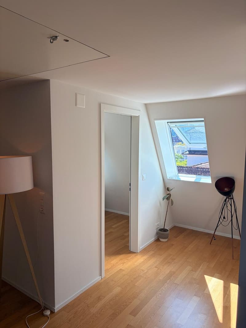 Befristete Maisonette-Wohnung nähe Idaplatz, Wiedikon (8)