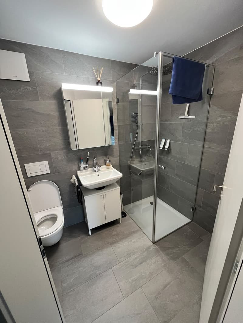 Befristete Maisonette-Wohnung nähe Idaplatz, Wiedikon (6)