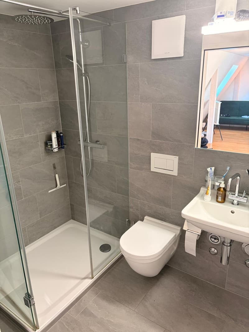 Befristete Maisonette-Wohnung nähe Idaplatz, Wiedikon (12)