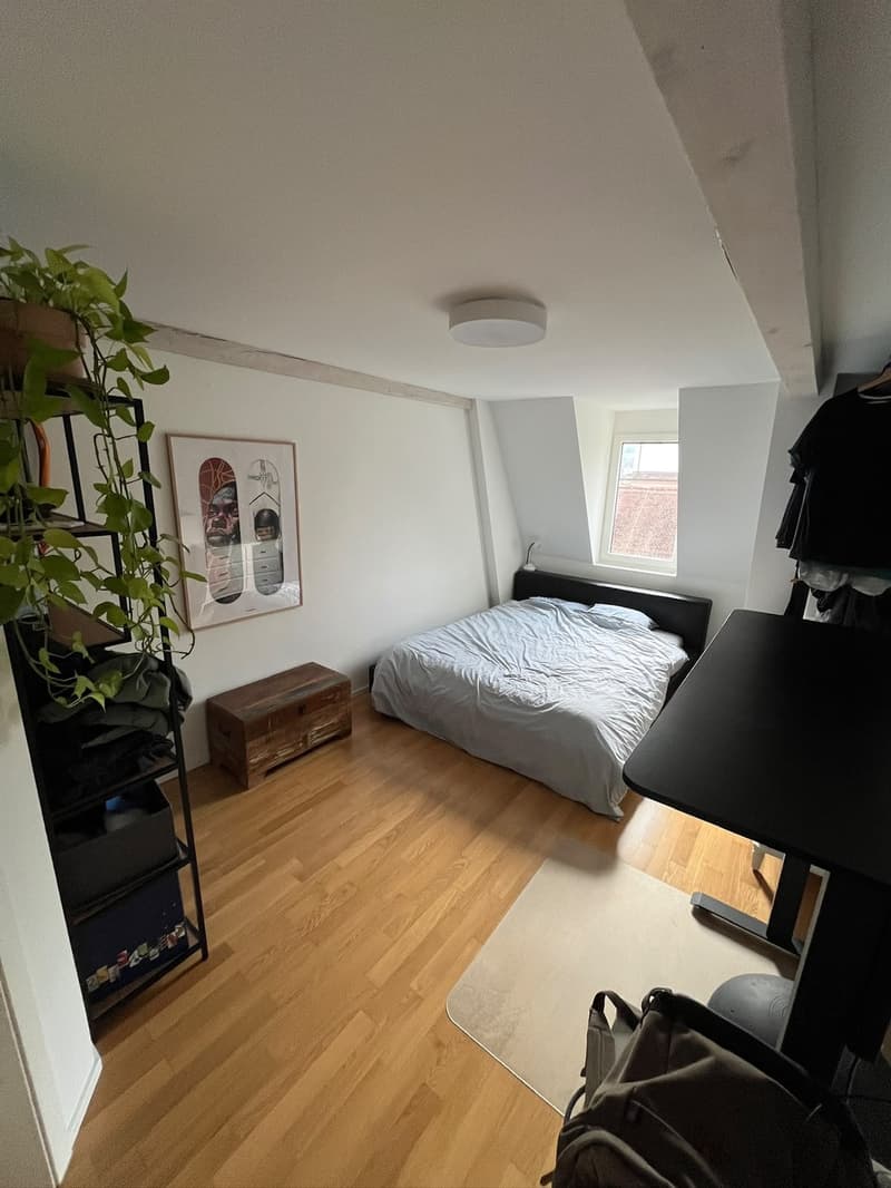 Befristete Maisonette-Wohnung nähe Idaplatz, Wiedikon (5)