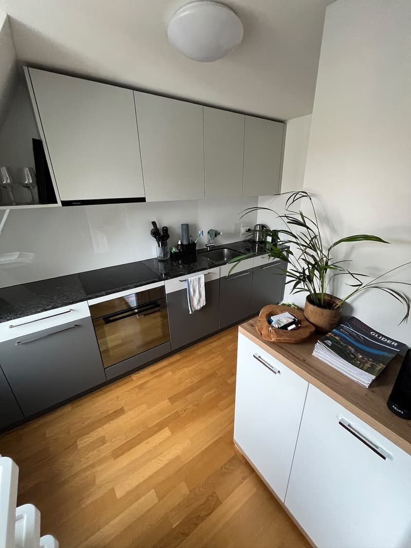 Befristete Maisonette-Wohnung nähe Idaplatz, Wiedikon (4)