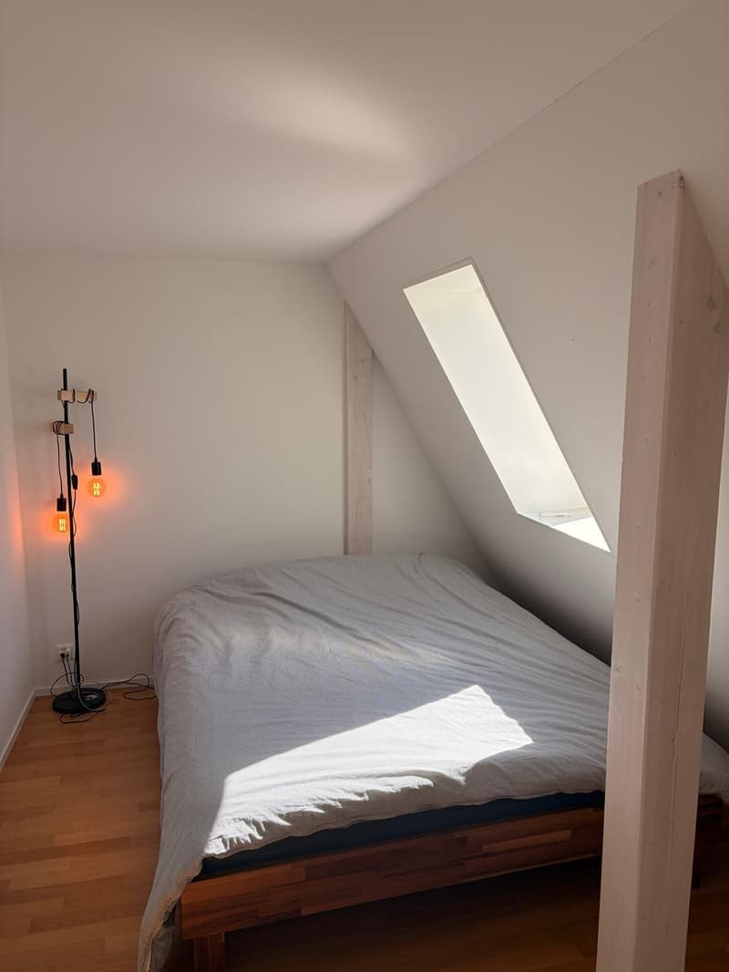 Befristete Maisonette-Wohnung nähe Idaplatz, Wiedikon (11)