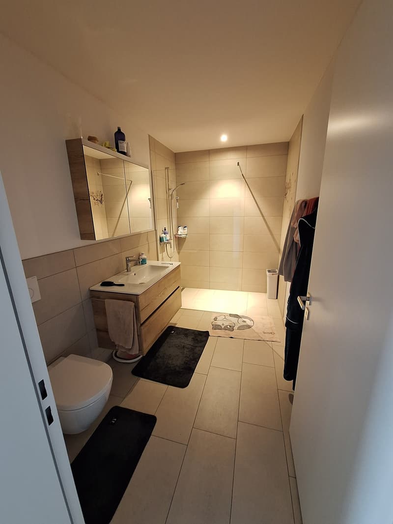 Helle 2-1/2 Wohnung (3)