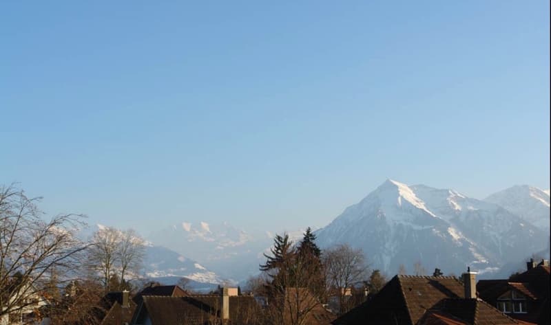 WG Zimmer, 3600 Thun (2)