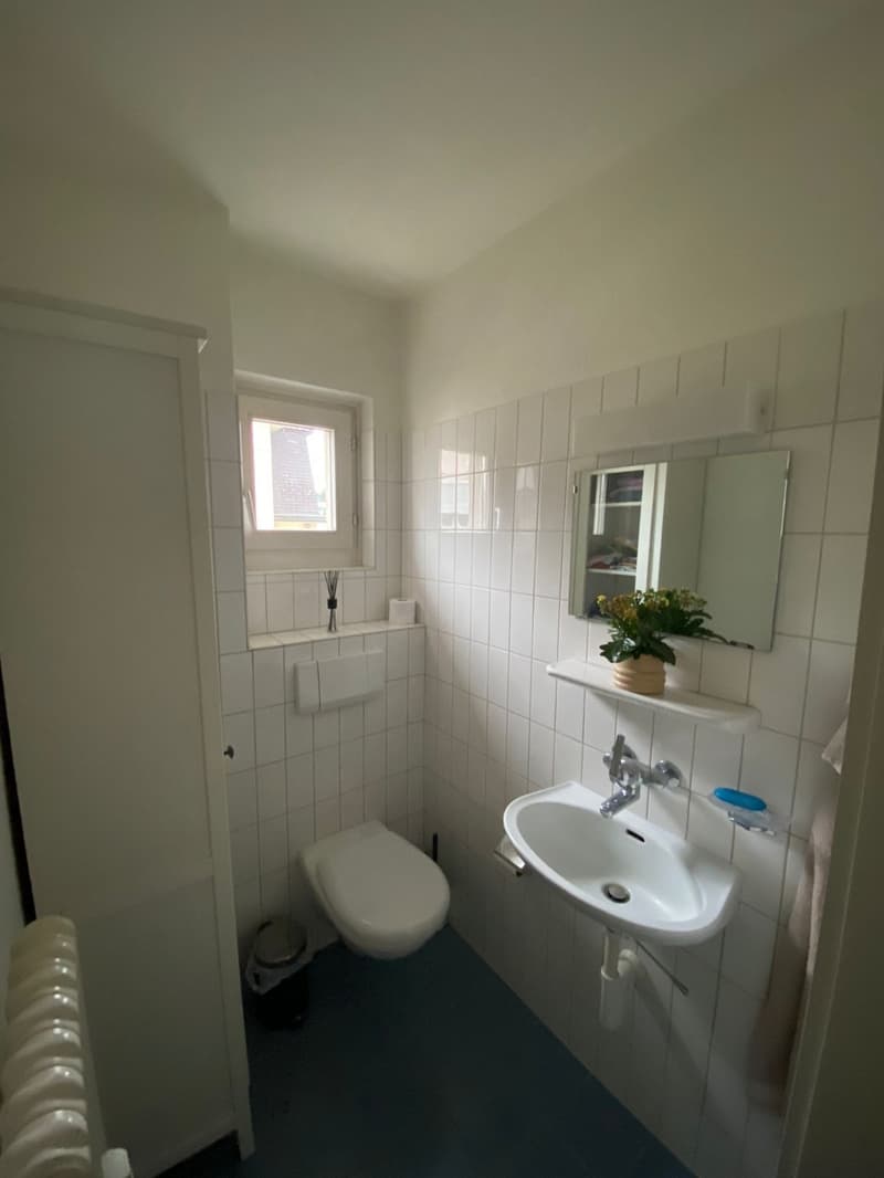 5 rooms apartment, 3072 Ostermundigen (5)
