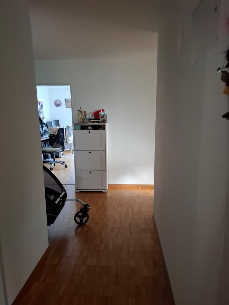 4 ½ Zimmer-Wohnung, 8046 Zürich (4)