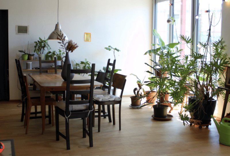 WG-Zimmer im Zwicky Süd 16,2 m² (3)
