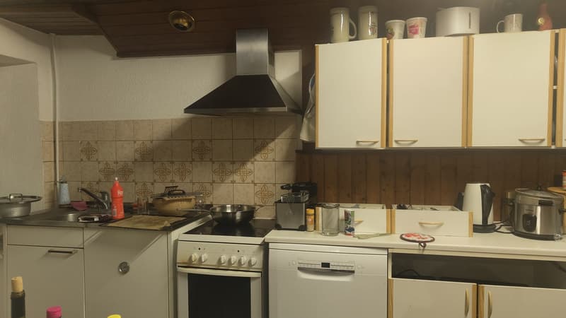 Colocation queer friendly à Vallorbe  100 m², vue nature et jardin (6)
