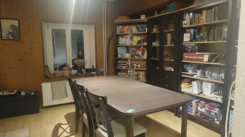 Colocation queer friendly à Vallorbe  100 m², vue nature et jardin (8)