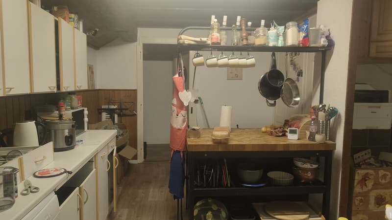 Colocation queer friendly à Vallorbe  100 m², vue nature et jardin (7)